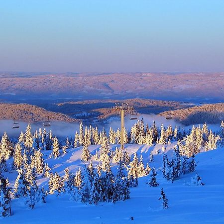 Sjusjoen Hytteutleie As ภายนอก รูปภาพ